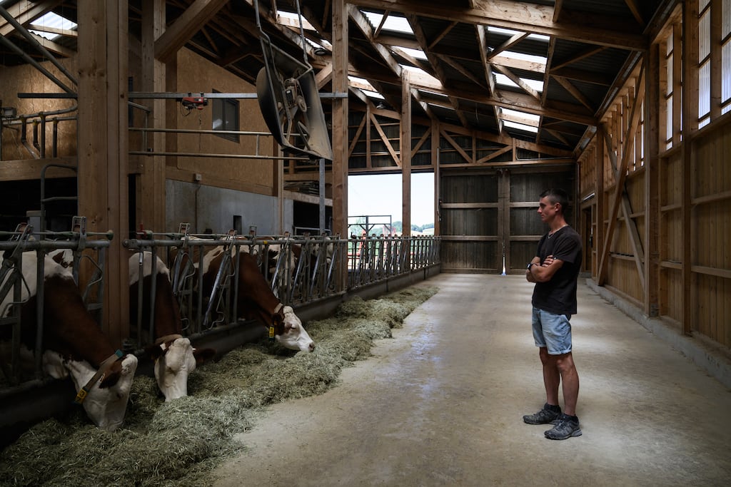 Dermatose : le gouvernement maintient le cap de sa stratégie d’abattage total des foyers