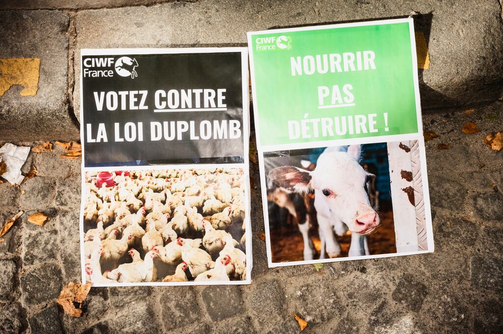 «Une première victoire» : la gauche applaudit la censure partielle de la loi Duplomb, la droite et l’extrême droite se font discrètes