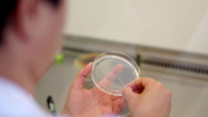 Un outil mis au point pour détecter et quantifier le piétin-échaudage