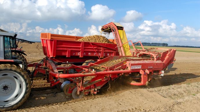 Les estimations de rendements en pommes de terre de conservation et fécule 2025