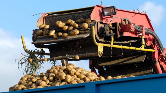 Belpotato.be insiste sur la qualité et le respect des contrats