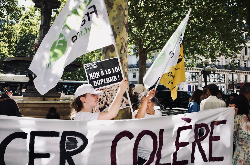 Loi Duplomb : le Conseil constitutionnel censure la réintroduction de l’acétamipride