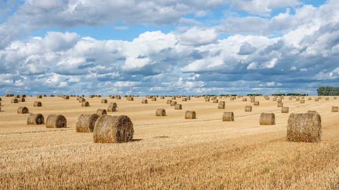 Moisson 2025 : « avec la météo, on piétine, on s’agace… »