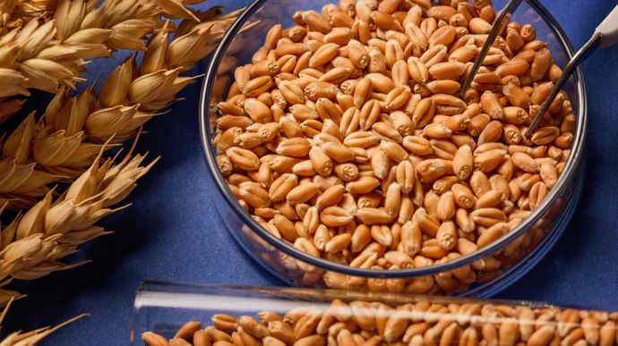 2025 est un cru de bonne qualité pour les blés, les orges, le colza et les protéagineux