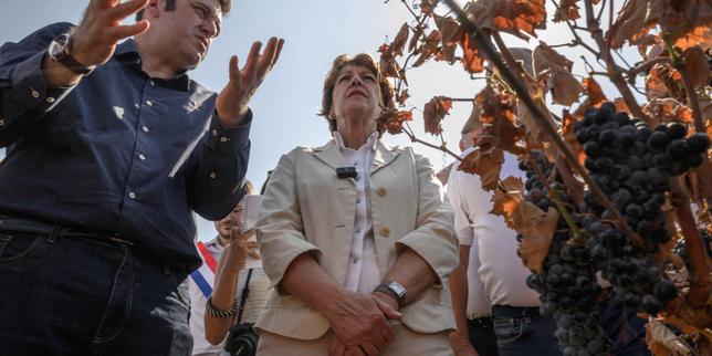 Après les incendies dans l’Aude, la ministre de l’agriculture Annie Genevard exprime « la solidarité nationale » aux viticulteurs des Corbières