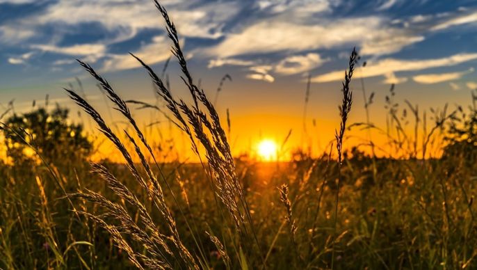 Bilan météo : juillet 2025 mitigé mais chaud