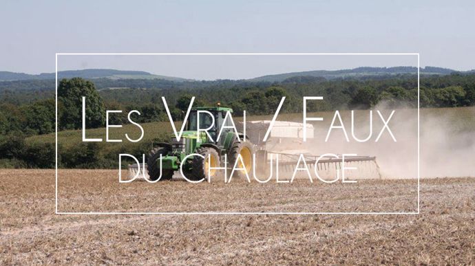 [L’actu d’Arvalis] Fumure de fonds : les vrai/faux du chaulage