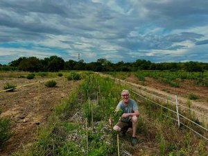 « On peut tous participer à des changements qui vont dans le sens du vivant » : un programme local pour planter des haies et restaurer les écosystèmes