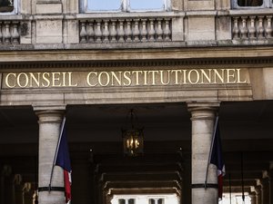 Loi Duplomb : le Conseil constitutionnel censure la réintroduction de l’acétamipride, un pesticide interdit