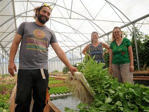 Agrosymbiose, la ferme où les poissons font pousser les légumes