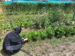 Le Monastère de Solan, où vivent des sœurs orthodoxes, attire aussi pour sa démarche écologique