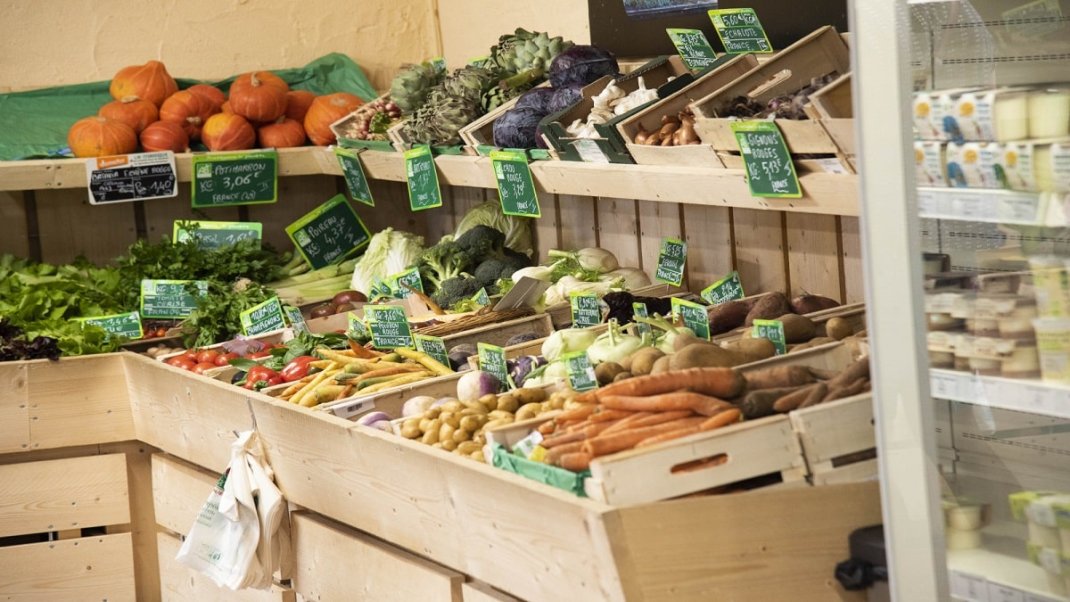 Une prospective à 2040 pour l’agriculture biologique française – Analyse n°221