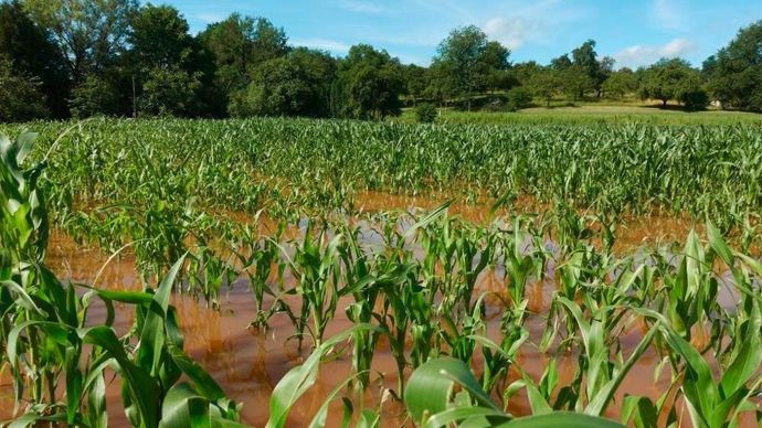 69 % des agriculteurs inquiets face au réchauffement climatique