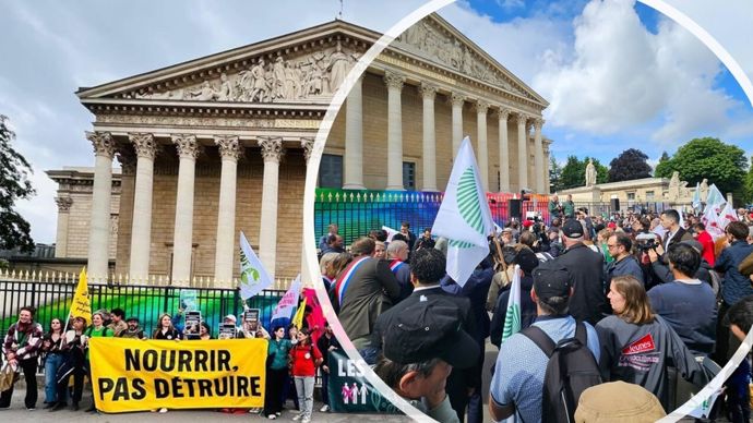 Loi Duplomb : les Sages renvoient partisans et opposants à leurs batailles