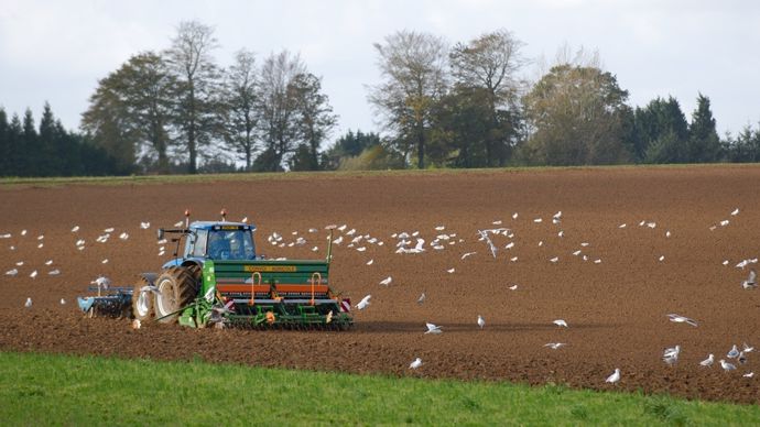 Récoltes d’automne, semis des céréales… : les conditions météo pour les 4 derniers mois de 2025