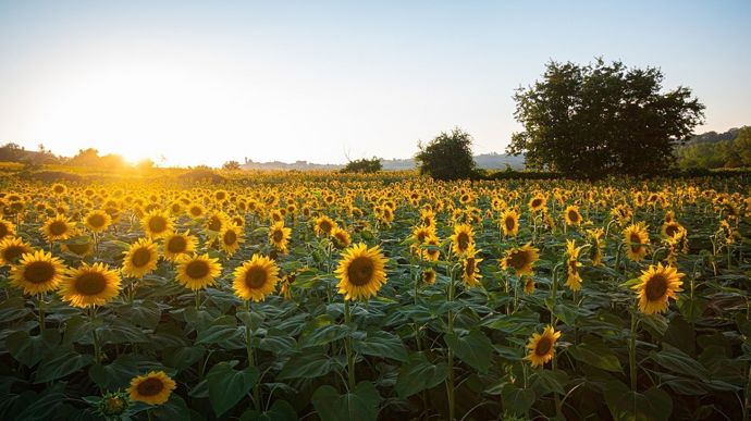 Une météo plus douce s’installe en Europe de l’Ouest