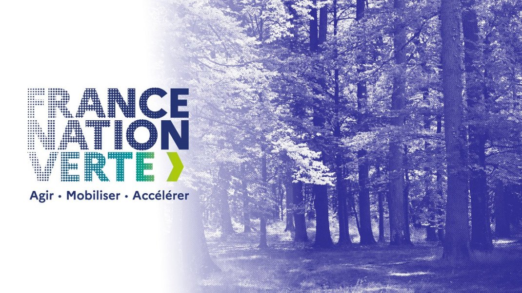 Les dispositifs de financement « Forêt-Bois » de la Planification écologique