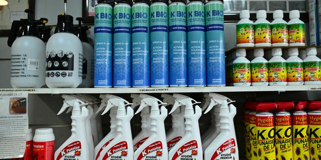 Les insecticides à base d’acétamipride ne seront bientôt plus commercialisés pour les particuliers dans l’UE