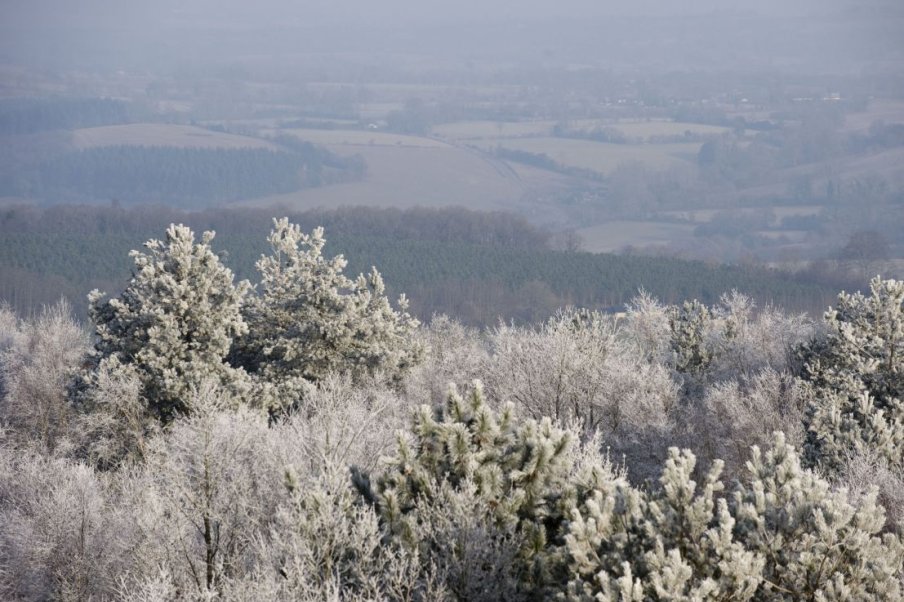 Fournisseurs, espèces réglementées, provenances et matériels de base forestiers