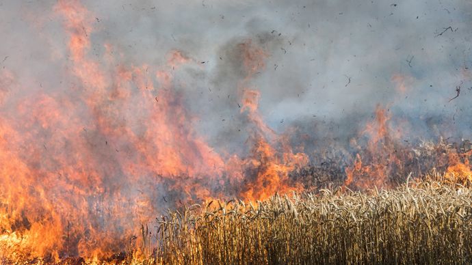 L’intensification des feux de récoltes, indicateur du changement climatique