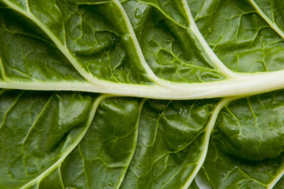 La blette, légume de saison à déguster sans modération
