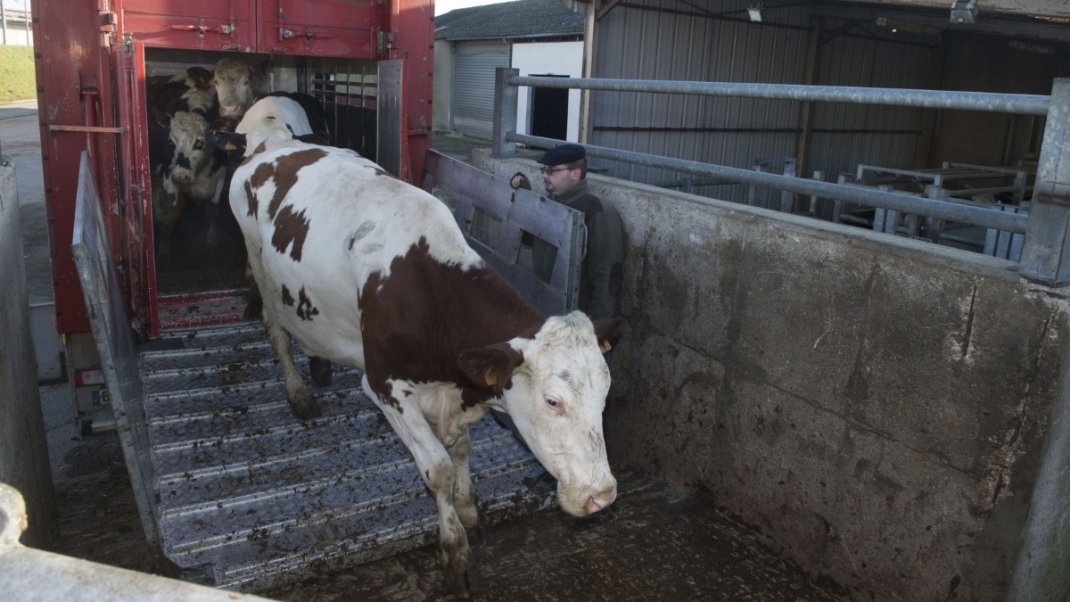 La fermeture d’un abattoir public de proximité. Le cas de Privas