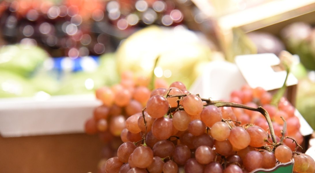 Le raisin de table, fruit de l’automne