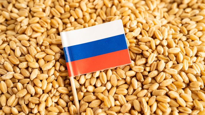 Le blé russe tire les cours vers le bas dans un marché mondial en repli