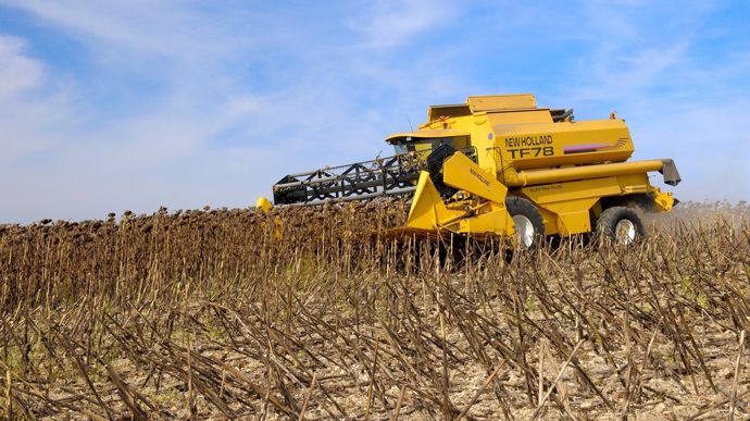 Tournesol : récolter au bon moment pour optimiser la marge économique