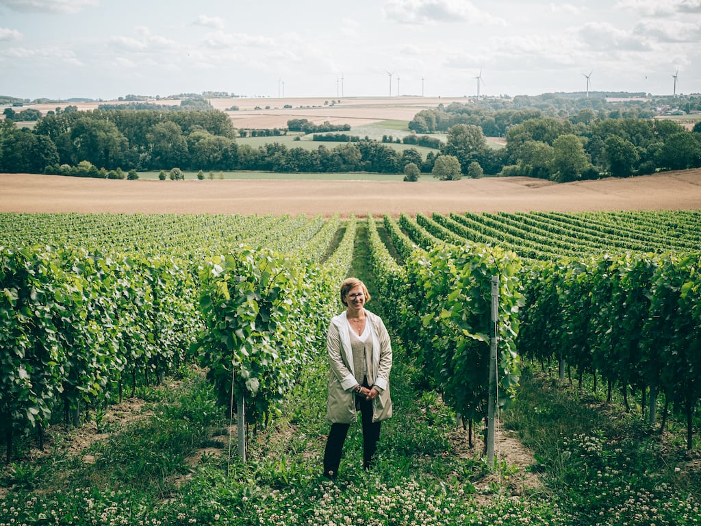 Viticulture : le Pas-de-Calais rallume le fût