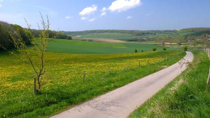 Quand et comment contester une préemption Safer?