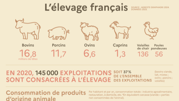 Infographie – L’élevage français