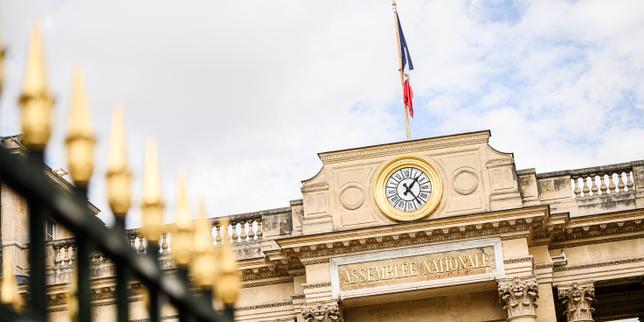 Loi Duplomb : les députés valident l’examen de la pétition contre le texte à l’Assemblée