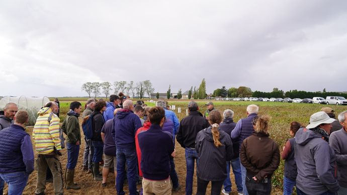 Sarrasin : un défi collectif pour structurer la filière