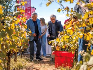 Clos des Vendanges à la feria de Nîmes : « Les bonnes cuvées, on a fait 60 bouteilles ! »