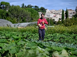 « Le bio doit sortir de l’idéologie et s’adapter aux règles économiques »