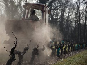 2 700 personnes interrogées, cheveux, urines, et légumes du jardin étudiés… que dit PestiRiv, enquête inédite sur l’exposition aux pesticides