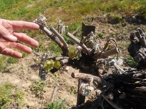 L’agriculture régionale demande à l’Europe « un statut à caractère expérimental » sur la gestion de l’eau pour mieux résister à la crise climatique
