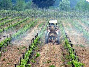 « On ne va pas empoisonner nos familles et nos enfants » : vigne et pesticides, des avis tranchés après la publication d’une enquête