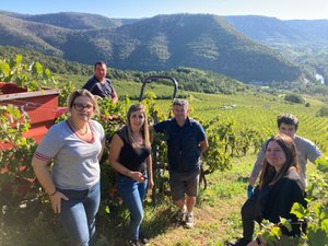 Vendanges des Côtes de Millau : entre espoirs et transmission, le domaine du Vieux Noyer tourné l’avenir