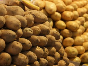 Des « montagnes de tonnes de patates » lâchées dans un champ : un agriculteur désespéré fait le bonheur des internautes