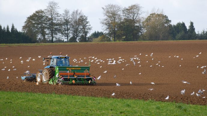 Le manque de pluies menace les semis d’hiver