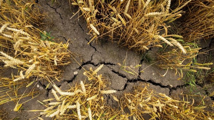 Précurseurs ou suiveurs : comment sécuriser chaque agriculteur dans le changement