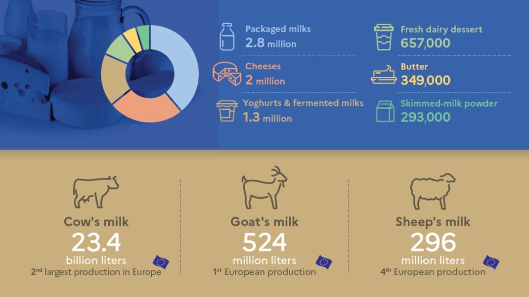 Production and consumption of milk and dairy products