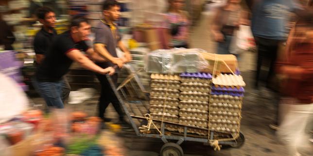 Nourrir la planète sans la détruire : les préconisations de la commission scientifique EAT-Lancet pour une alimentation plus juste