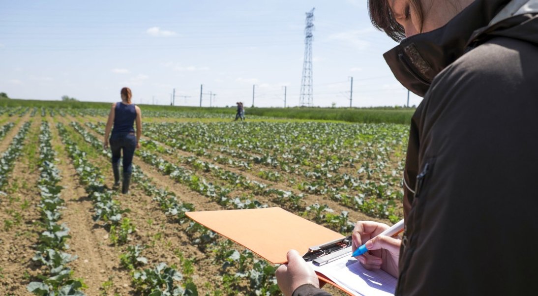 Devenez technicien supérieur dans les domaines de l’agriculture, de l’alimentation et de la forêt
