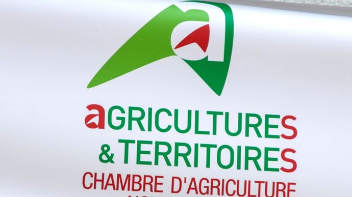 Irrégularités, régionalisation inachevée, représentativité discutable : la Cour des comptes critique les chambres d’agriculture