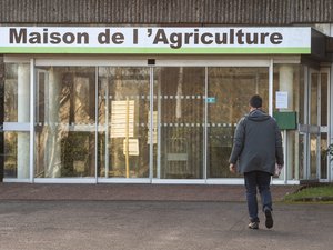 La loi réclamait leur régionalisation : la Cour des comptes jette un pavé dans la mare des chambres d’agriculture