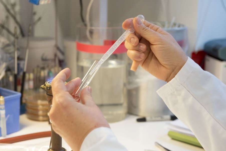 Suivre les mesures de lutte contre l’antibiorésistance