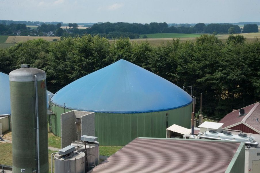 Les sous-produits animaux et les produits qui en sont dérivés : valorisation et élimination